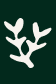 Alma Leaf Motif