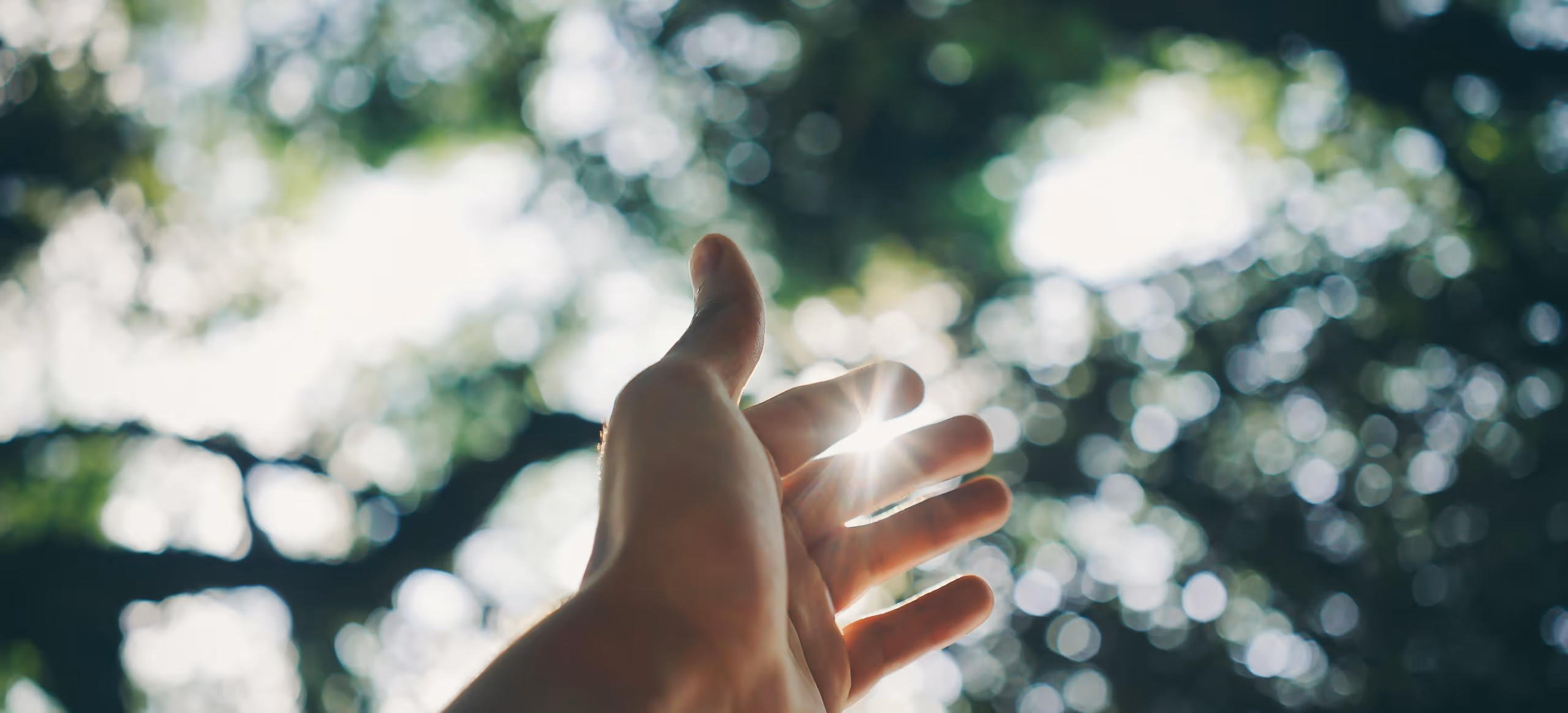 An open hand reaching upward toward sunlight through tree branches